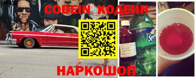 мдпв Камышлов