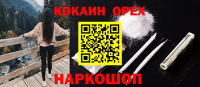 мдпв Камышлов