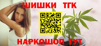 мдпв Камышлов
