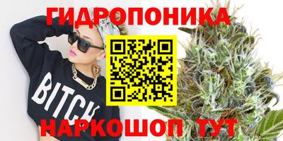 apvp Канаш