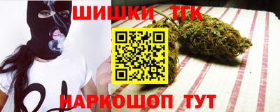 мдпв Камышлов