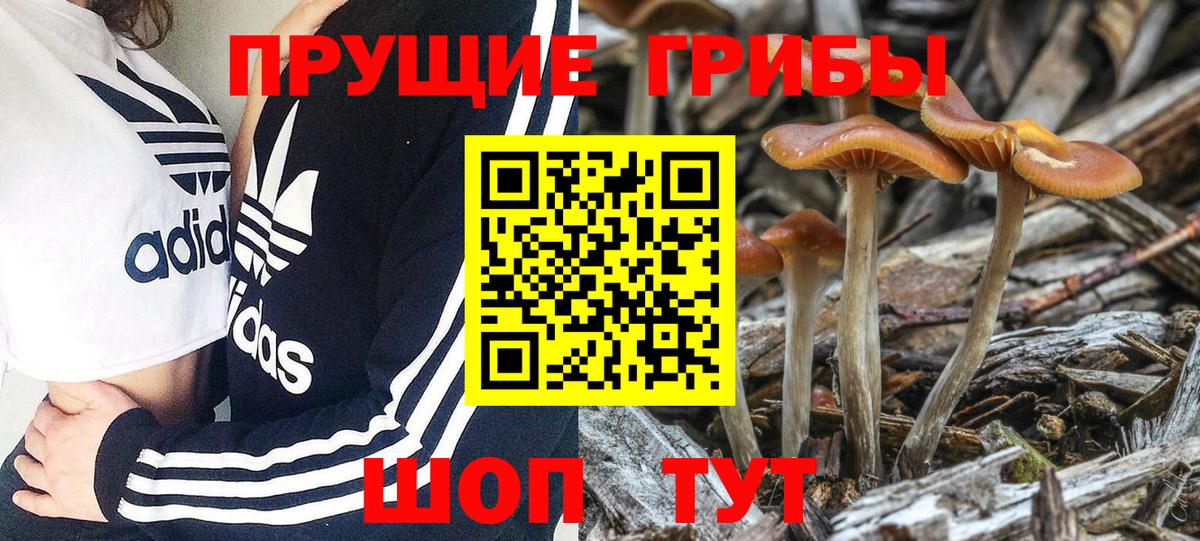 Костомукша  Галлюциногенные грибы Psilocybe  Вход с VPN  Псилоцибиновые грибы Magic Shrooms 