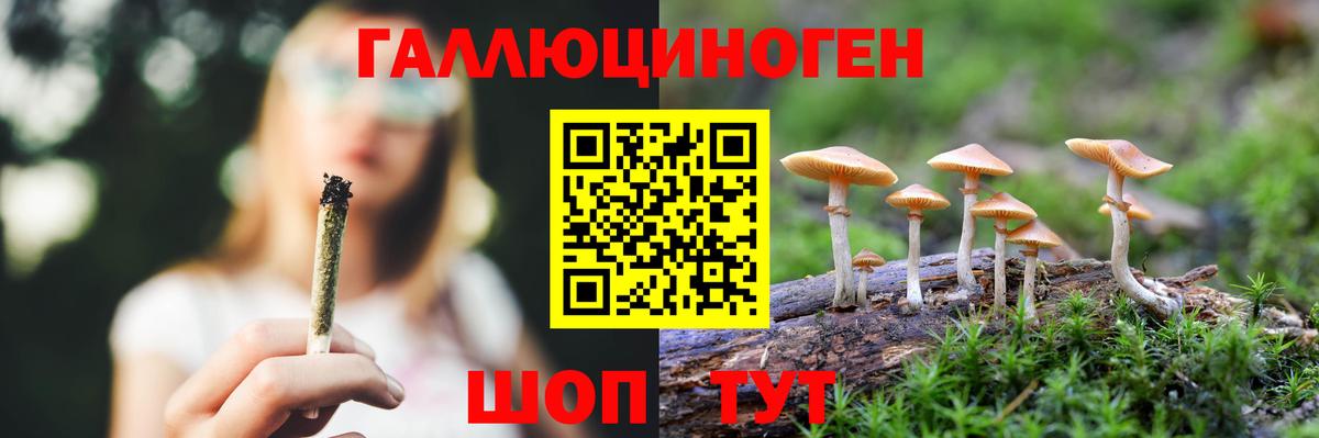 Псилоцибиновые грибы GOLDEN TEACHER Костомукша